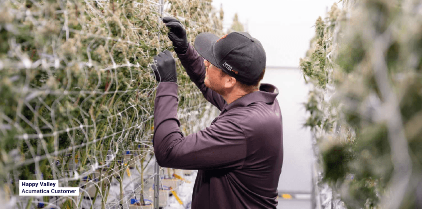Aprovechar las oportunidades de crecimiento: Cómo las soluciones ERP integrales pueden ayudar a las empresas emergentes de cannabis